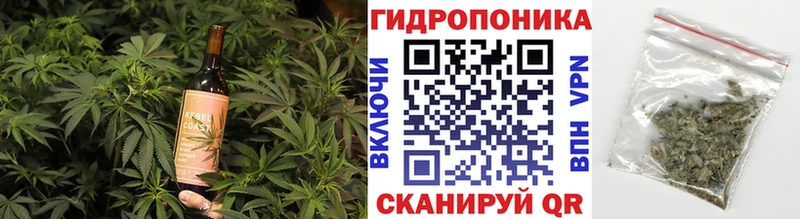 ОМГ ОМГ вход  Чусовой  Cannafood конопля 