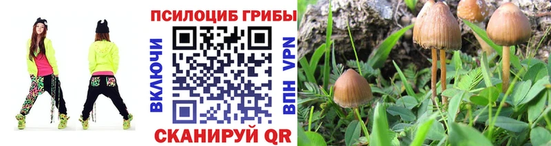 Псилоцибиновые грибы прущие грибы  кракен сайт  Чусовой 