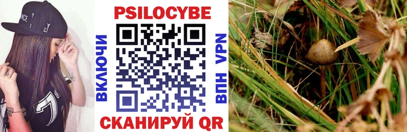 Псилоцибиновые грибы GOLDEN TEACHER Чусовой